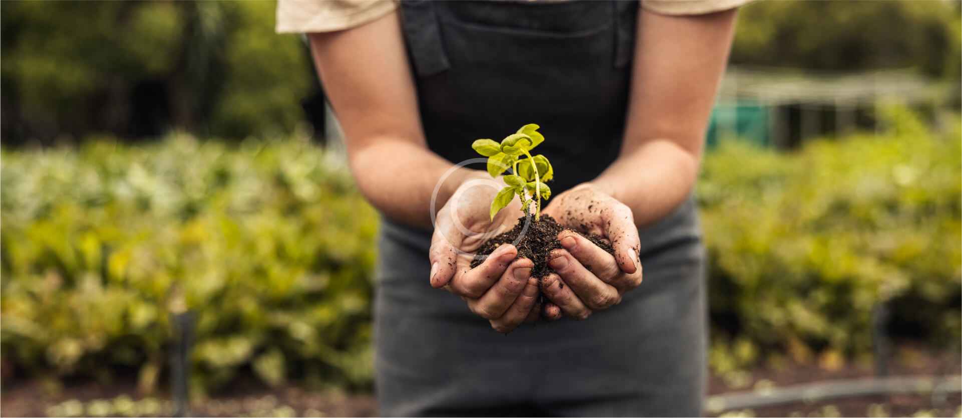 Aménagement Paysager